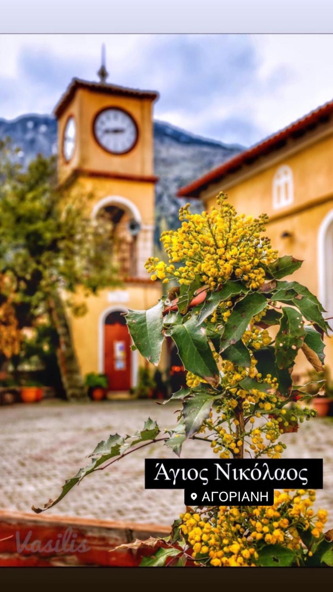 Asimina Guesthouse, Eptalofos Parnassos Exterior photo
